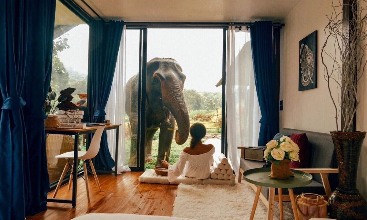 Mae Wang Resort | 3Pok wake with elephants