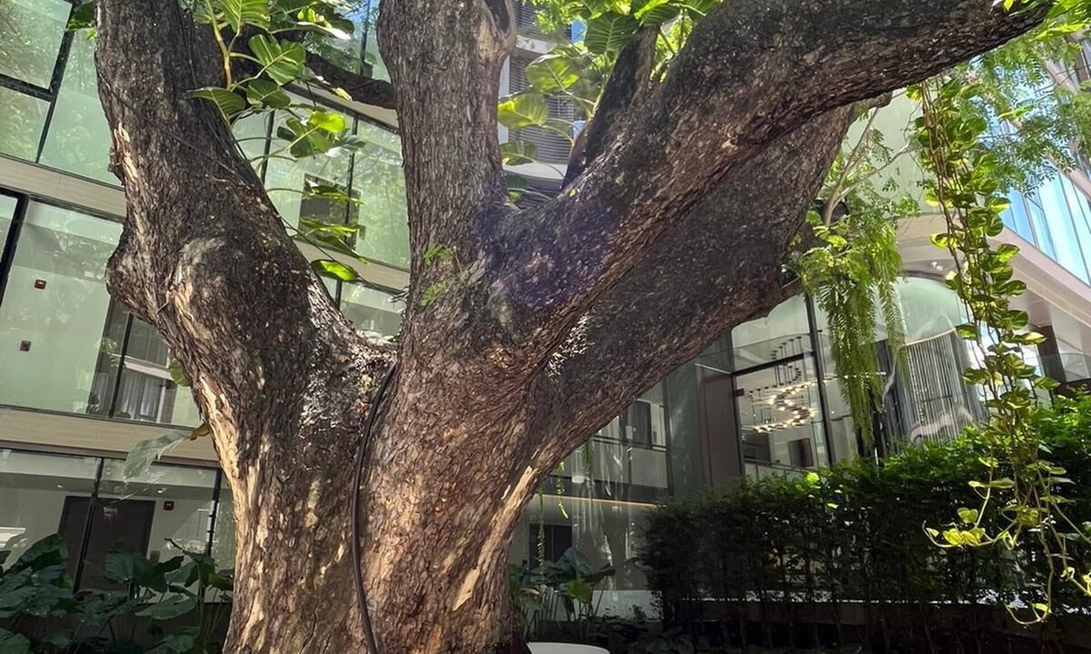 Nana Condo | 6* Luxury @ The Heart of Bangkok in the Most Exclusive Zone in Bangkok