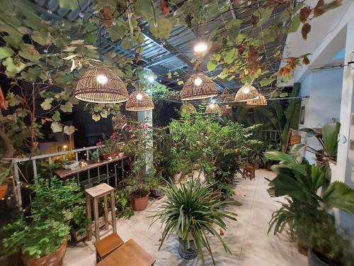 Hai Ba Trung House | alleyhomestay 2