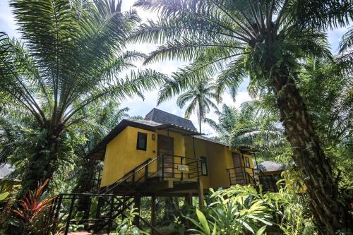 Phanom Cabin | Anurak Lodge