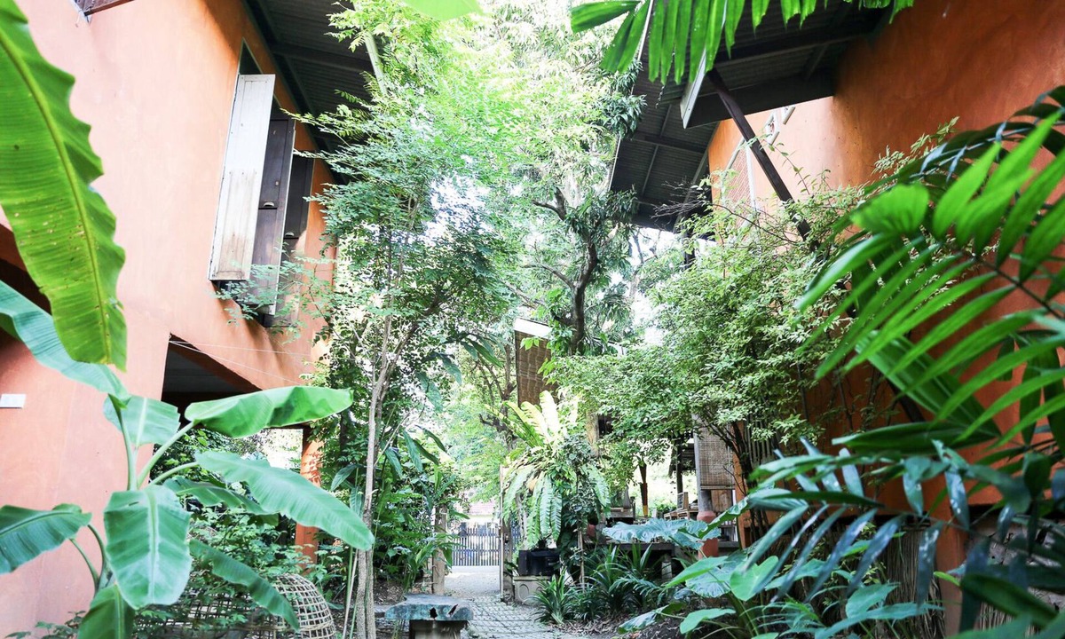 Wat Ket Hotel | Baannoi Nornmuan Homestay Chiang Mai