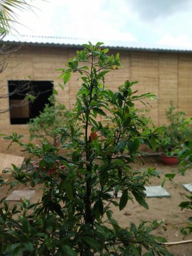 Ben Tre House | Bentrestay