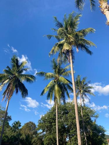 Ko Chang Bed & Breakfast | Blue Resort