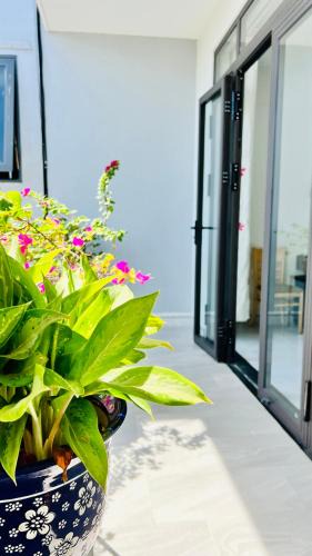 Quy Nhon House | Cô Ba Homestay