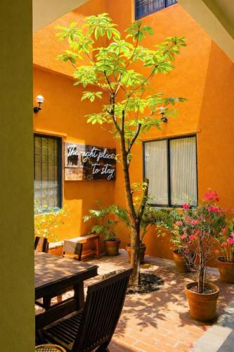 Bac Lieu Hotel | Chí Hiếu Homestay