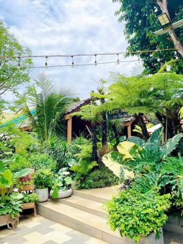 Buon Ma Thuot Apartment | Cherry homestay bmt