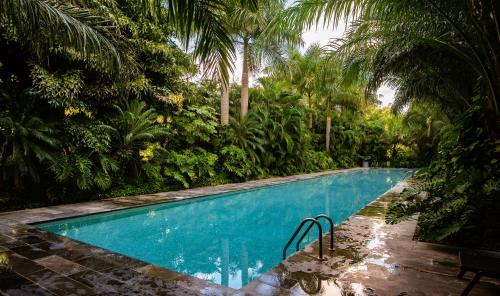 Zona Industrial Apartment | Cozy, elegant 2BR Via Montejo, steps to US Consulate