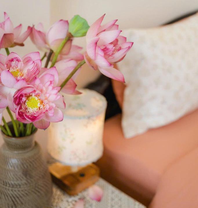 Đong Thanh Apartment | Dan's Story Homestay - Entire House in Hoa Lu Old Quarter