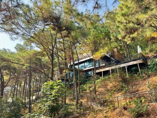 Soc Son Villa | DE'BAY VILLA - Stone house in the forest