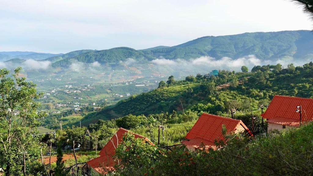 Lam Ha House | Dreamers Garden Farmstay