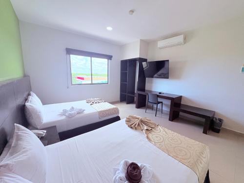 Ejidal Apartment | Elegante Suite Doble con Vista Panorámica