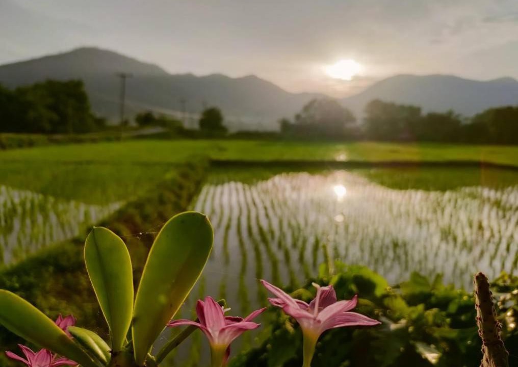 Phrao Hotel | Hamenameng
