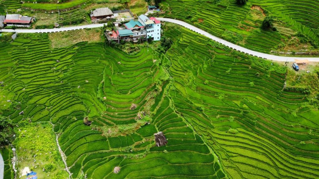 Hau Thao House | Hoa's homestay Sapa