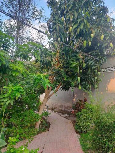 Vinh Long House | Home Vuon Dua