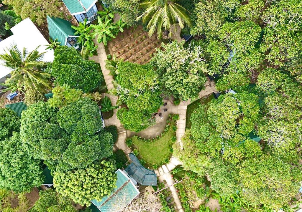 Con Son Apartment | Homestay De la Rosa - Côn Đảo