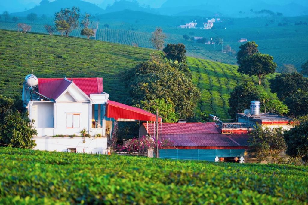 Moc Chau House | Homestay Moc Chau