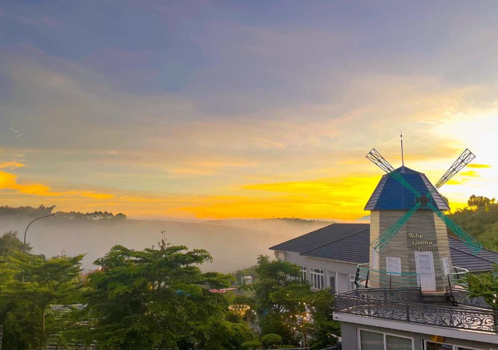 Bao Loc Hotel | Homestay Tulip Garden Bảo Lộc