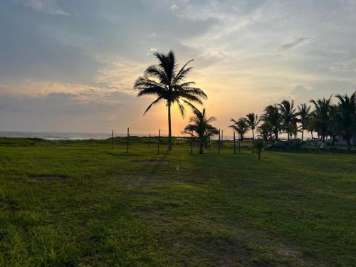 Tecolutla Municipality Hotel | Hotel KIBOOO IRE