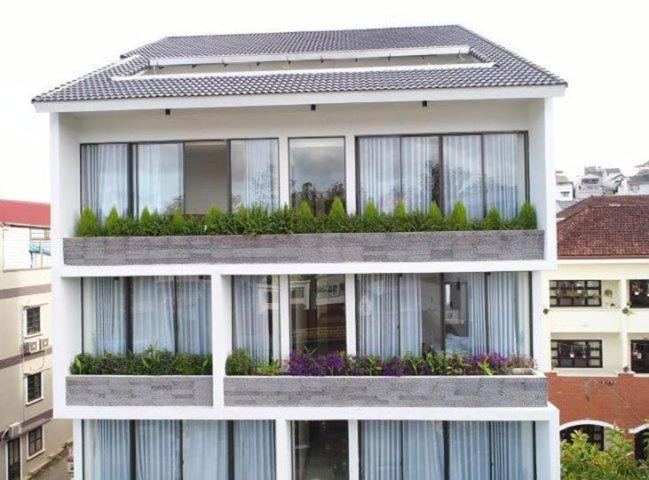 Da Lat Hotel | Ivy Hotel Dalat