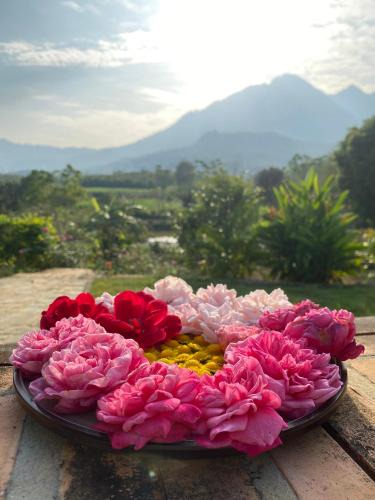Ba Vi House | Kame Healing Garden