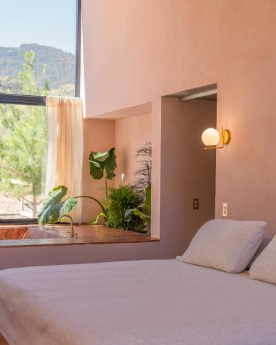 La Mancha Villa | La Cabaña Rosa