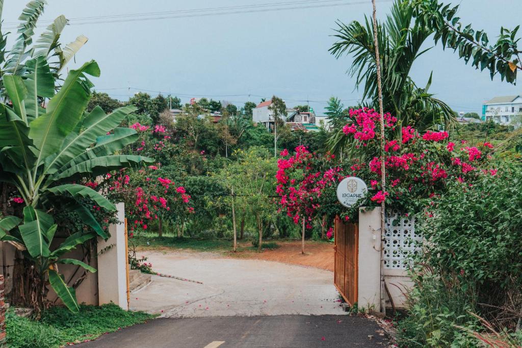 Gia Nghia Bed & Breakfast | Laca homestay