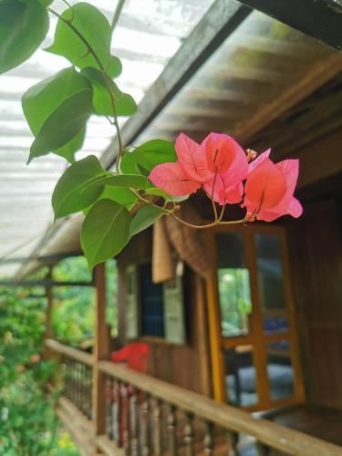 Dak Mil House | Lily's Stone Garden homestay