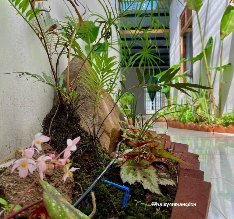 Kon Plong House | Một Homestay Mang Den