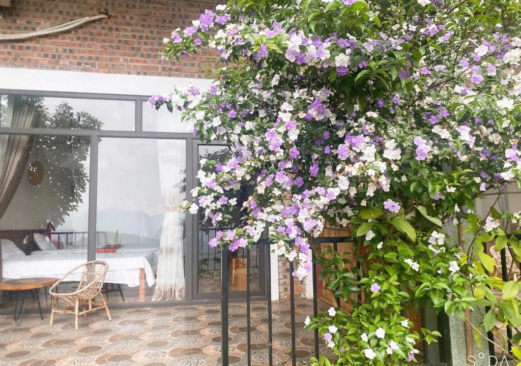 Pu Long Nature Reserve House | Mai Hill Homestay