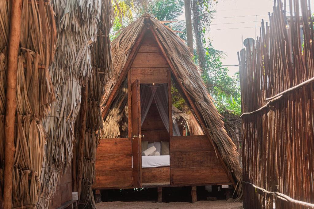 Isla Holbox House | Mapache Hostel