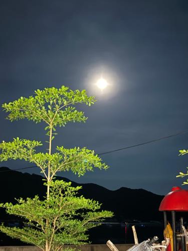 Vinh Hy Apartment | Moon House