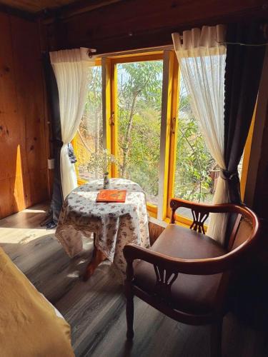 Da Lat Apartment | Nhà Dưới Đồi Homestay