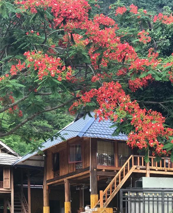 Mai Chau House | Nha Tan - Mai Chau Homestay & Tours