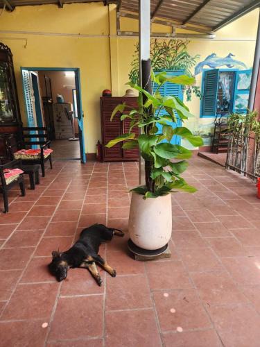 O Mon Apartment | Orchid Garden Farmstay Cần Thơ -Self Check in
