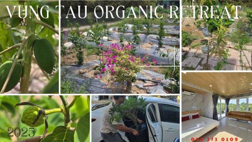 Phu My Apartment | Osimi C11 - Homestay Phu My