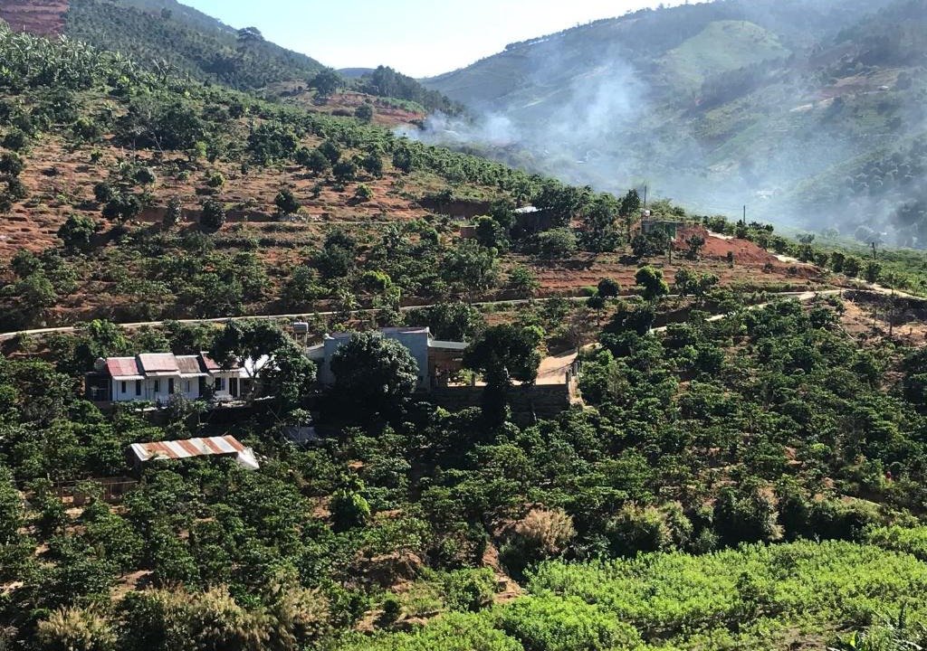 Da Lat House | OVi coffee farmstay Đà Lạt