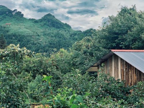 Cha Pai Apartment | Private House in SaPa centre & Kitchen