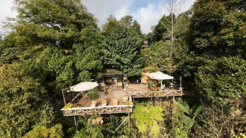 Cha Pai House | Sapa Jungle Homestay