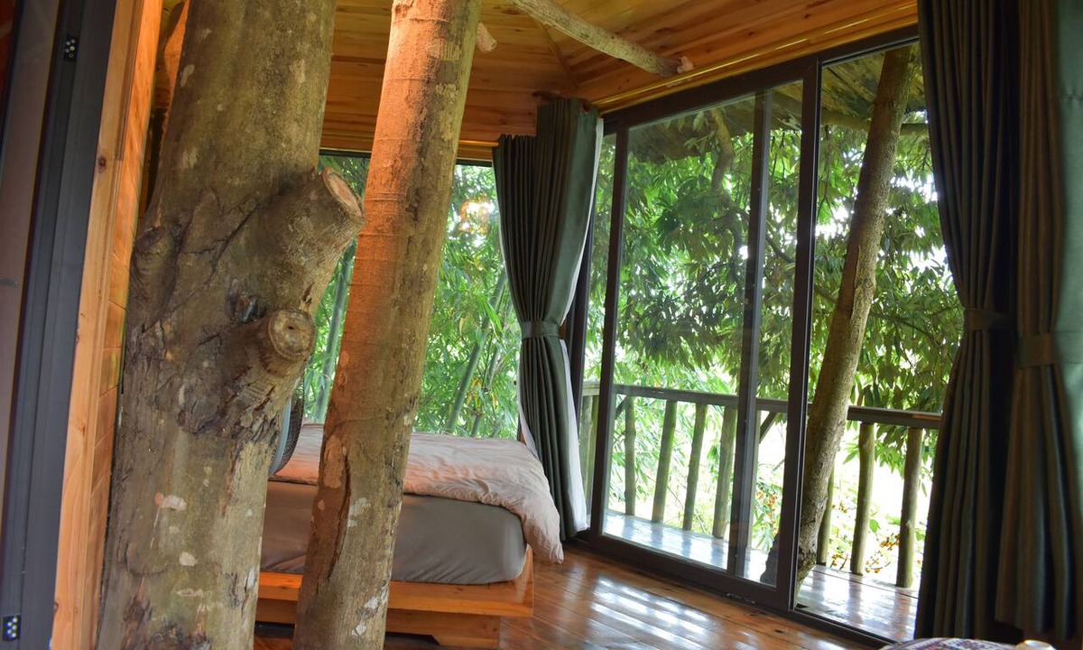 Sa Pa Cabin | Sapa Jungle