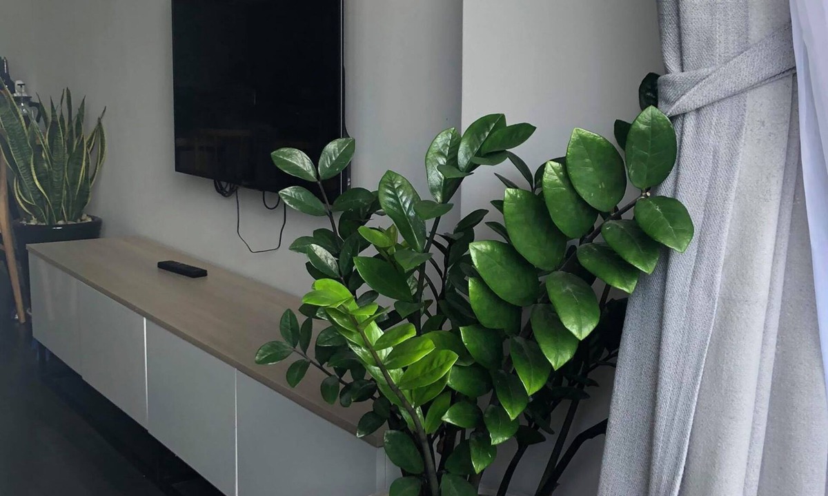 Vinh Phuoc Apartment | Somnus Beachfront Apartment Nha Trang