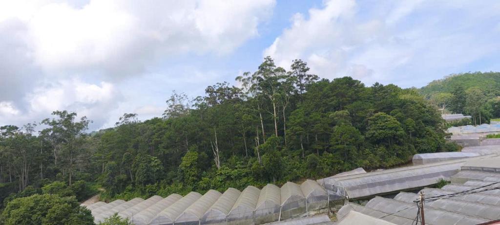 Da Lat House | SON TAM Nhà Vườn Homestay