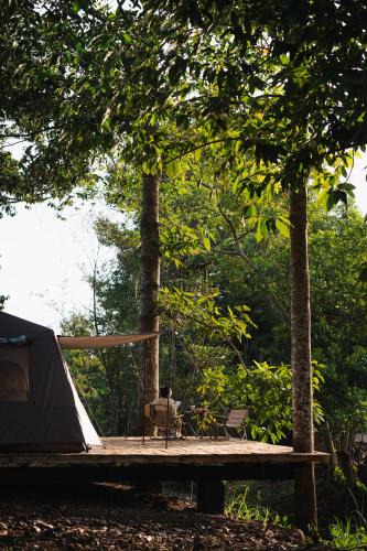 Chau Duc Other | Suối Camp