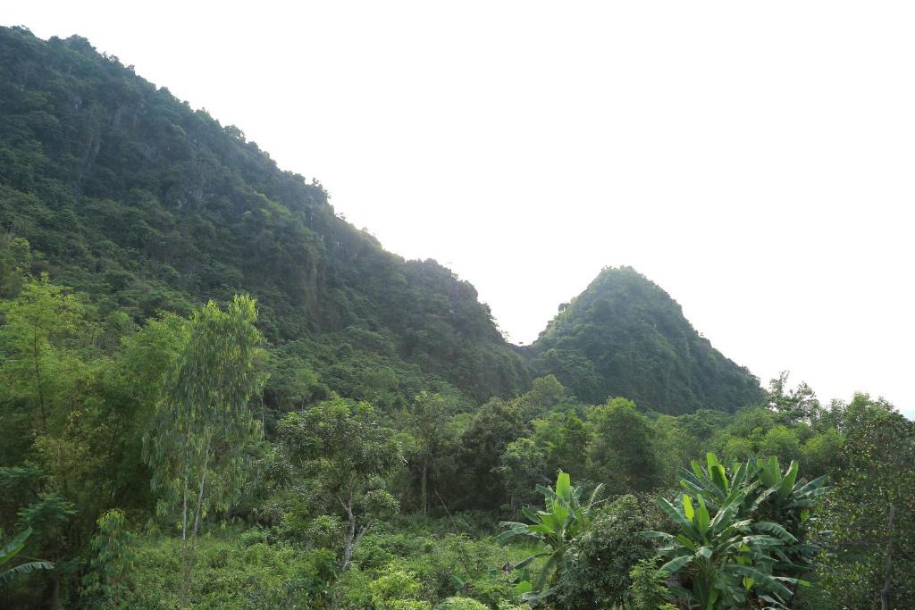 Son Trach House | Tam's Homestay