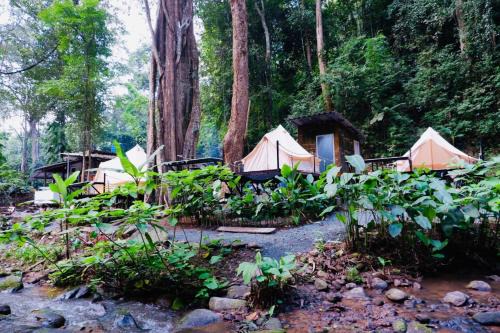 Mae On Other | The camp Maekampong