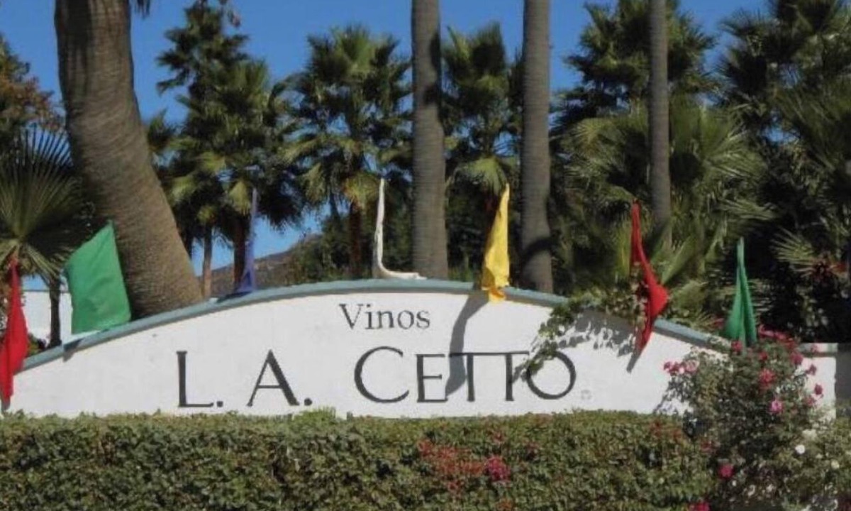 Playas de Rosarito House | The Ortega House