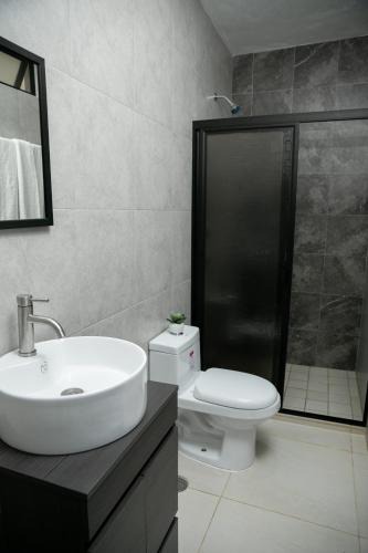 Tequila Apartment | TORRE CARRANZA