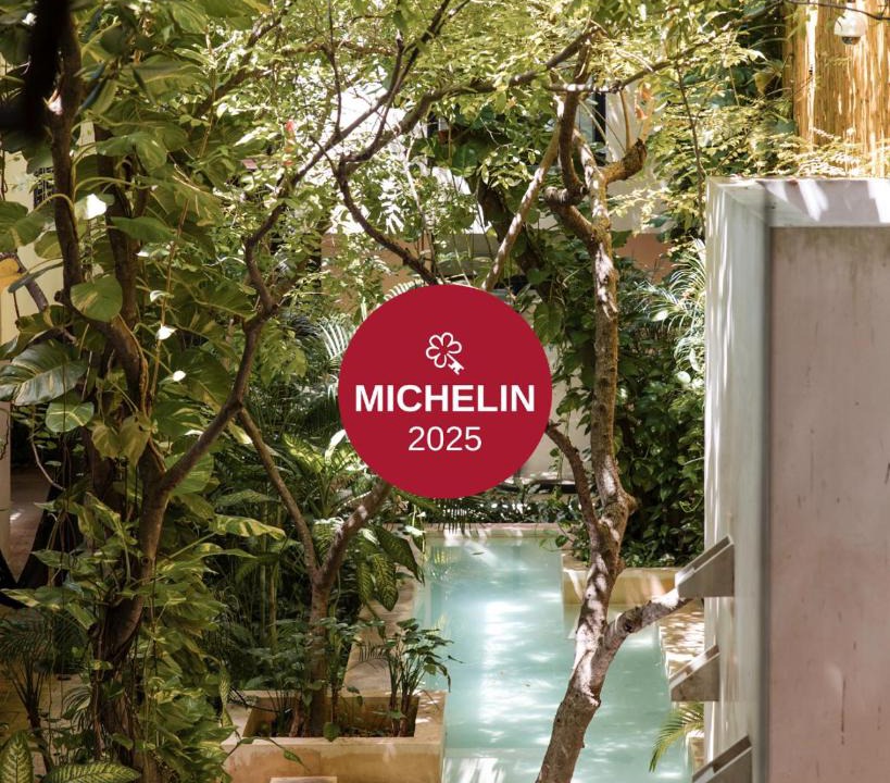 Zona Paseo Montejo Hotel | TreeHouse Boutique Hotel, an adults only boutique hotel