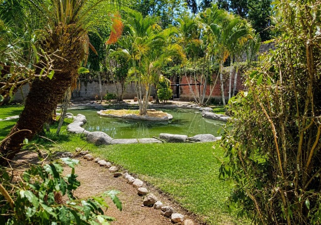 Cocoyoc Apartment | Tropical oasis near Dorados Oaxtepec and Six Flags