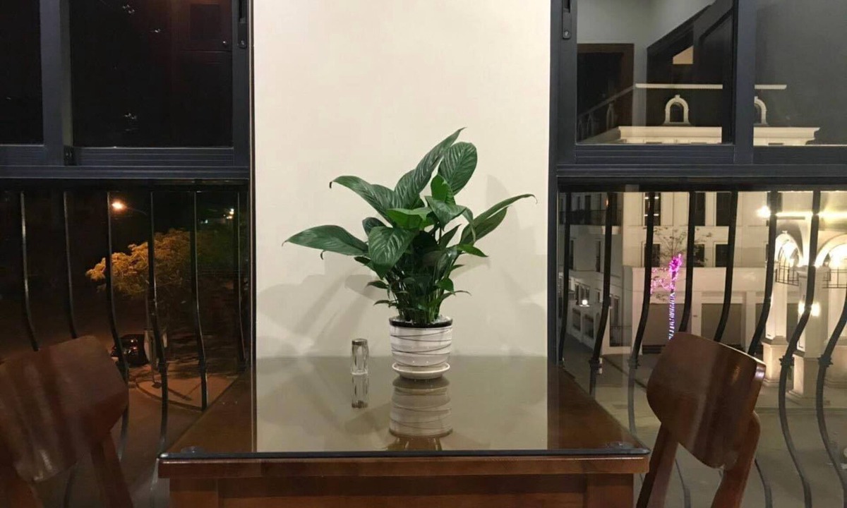 Le Chan Apartment | VIỆT KIỀU