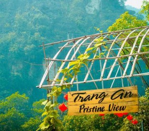 An Homestay 
